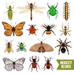 Aula de la Naturaleza: “Nuestros pequeños artrópodos”