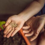 Aula de la Naturaleza “Bombas de semillas”