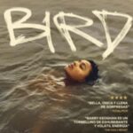 Filmoteca - "Bird-2024"