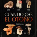 Filmoteca "Cuando cae el otoño"