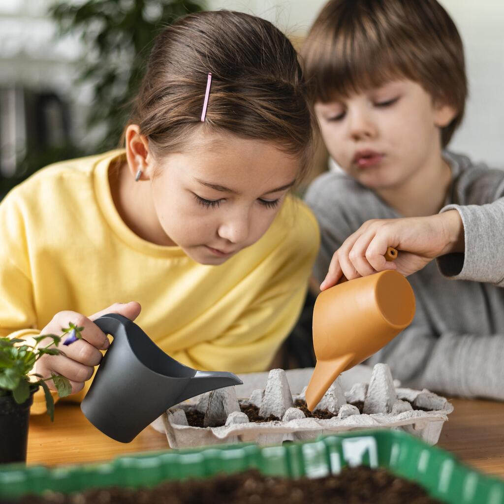 Taller Aula de la Naturaleza: De Semilla a Planta (infantil)